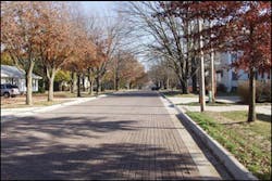 Greening The Steets Greening The Steets