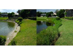 Shoresox Ba Shoresox Ba