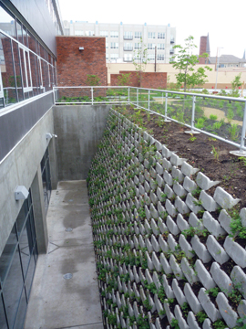 Stormwater Stormwater Management Credit Rundell Ernstberger Associates1