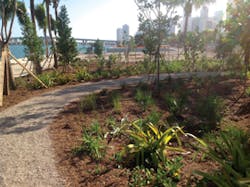 Ec1503 50 1 Ec1503 50 1