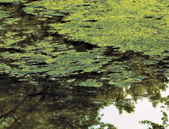 I Stock 000009842931 Large