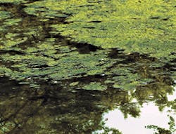 I Stock 000009842931 Large I Stock 000009842931 Large