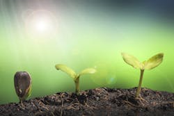 I Stock 000058144478 Sm I Stock 000058144478 Sm