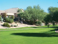 Sw1505 38 21 300x225 Sw1505 38 21 300x225