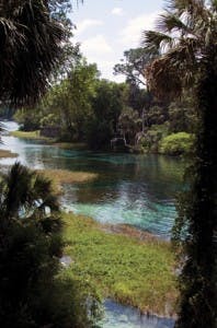 Sw1505 481 198x300 Sw1505 481 198x300