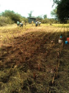 Ec1507 10 2 225x300 Ec1507 10 2 225x300