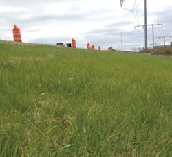 Ec1507 14 31 300x275 Ec1507 14 31 300x275