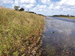 Ec1507 15 4 300x225 Ec1507 15 4 300x225