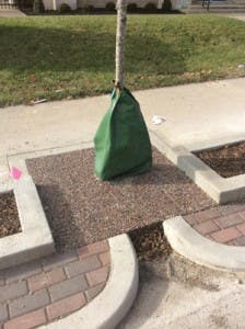 Ec1507 26 3 224x300 Ec1507 26 3 224x300