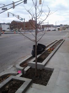 Ec1507 26 4 225x300 Ec1507 26 4 225x300