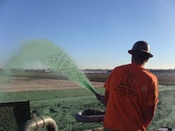 Ec1507 40 2 300x226 Ec1507 40 2 300x226