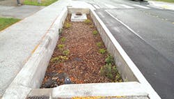 Sw1507 58 1 Sw1507 58 1