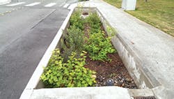 Sw1507 58 2 Sw1507 58 2