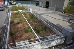 Sw1507 58 3 Sw1507 58 3