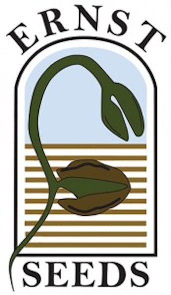 Ernst Seeds Logo1 174x300