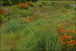 Bmpfundamentals Session1 300x200 Bmpfundamentals Session1 300x200