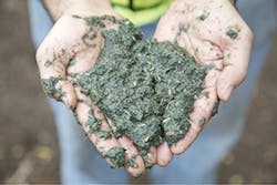 Ec1509 13 1 Ec1509 13 1