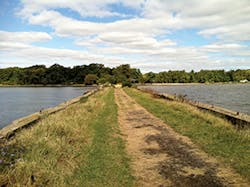 Ec1509 18 1 Ec1509 18 1