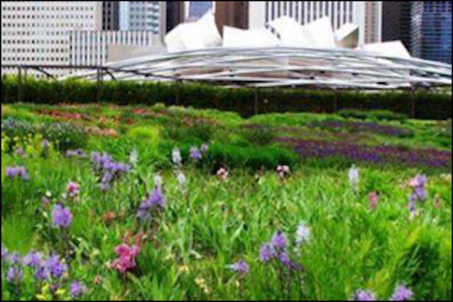 greeninfrastructure_session2_300x200