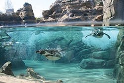 Sw1509 46 300x200 Sw1509 46 300x200