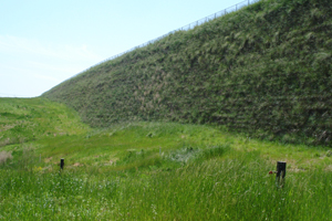 Profile Hecps 300x200