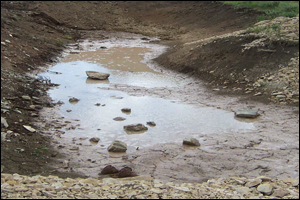 Secrms Session3 300x200