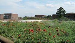 Sw1510 24 300x174 Sw1510 24 300x174