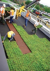 Sw1510 29 215x300 Sw1510 29 215x300