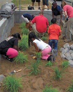 Sw1510 39 238x300 Sw1510 39 238x300