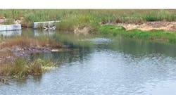 Sw1510 41 300x162 Sw1510 41 300x162