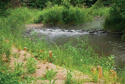 Ec1511 34 2 Ec1511 34 2