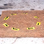 Blocksom1 150x150 Blocksom1 150x150