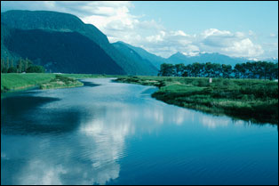 Surfacewatermc 300x200