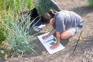 Sw Assessment300x200