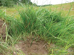 Ec1606 14 5 Ec1606 14 5