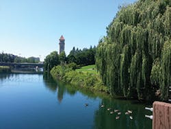 Sw1607 541 Sw1607 541