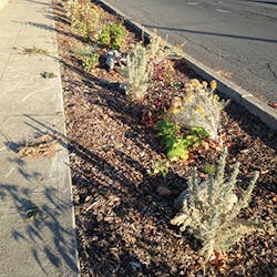 Sw1607 561 Sw1607 561