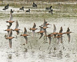 Sw1609 321 Sw1609 321