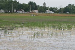 Sw1609 341 Sw1609 341