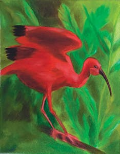 Ec1611 24 234x300 Ec1611 24 234x300