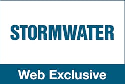 Sw Web Exclusive Sw Web Exclusive