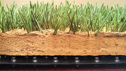 Watershed Geo Watershed Geo