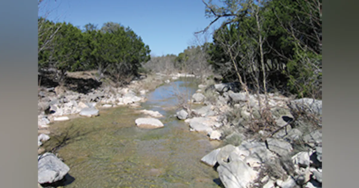 Stream Buffers 101 | Stormwater Solutions
