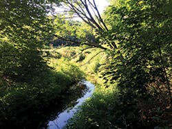 Sw1701 46 2 Sw1701 46 2