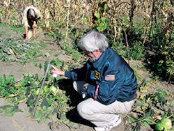 Ec1703 13 1 300x225 Ec1703 13 1 300x225