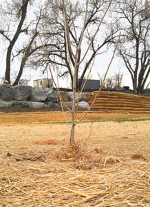 Ec1703 23 218x300 Ec1703 23 218x300