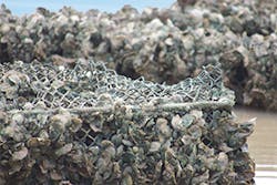 Ec1705 221 Ec1705 221