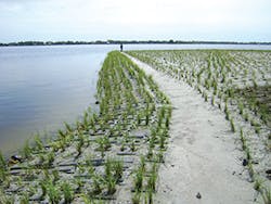 Ec1705 44 11 300x225 Ec1705 44 11 300x225