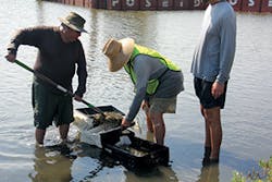 Ec1705 44 2 300x200 Ec1705 44 2 300x200