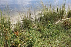 Ec1705 44 3 300x200 Ec1705 44 3 300x200